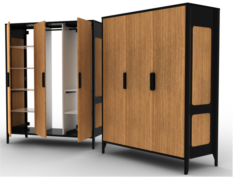 cabinet of south africa